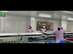 55in Wifi Bağlantılı Dijital Kara Tahta Öğretim İçin Dahili Hoparlörler